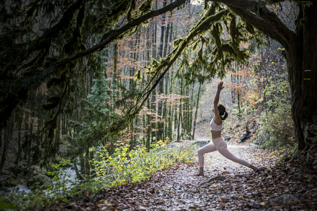 ma vision du yoga